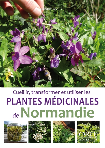 couverture du livre PLANTES MEDICINALES DE NORMANDIE
