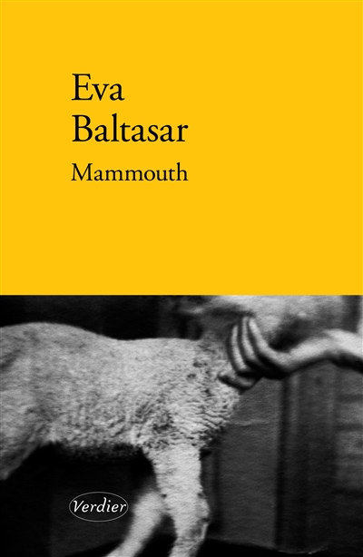 couverture du livre MAMMOUTH